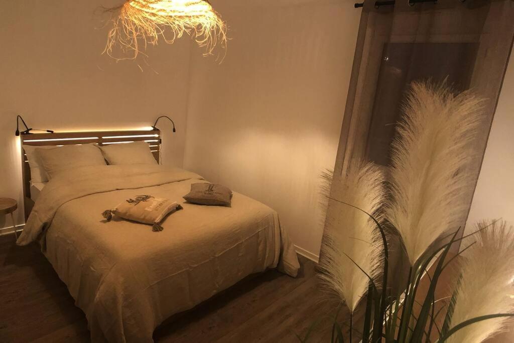 Appartement, Confort, Parking, Terrasse Dinan Exteriör bild